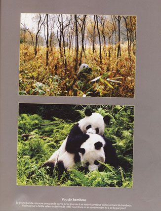 TERRE SAUVAGE 杂志翻拍图 08